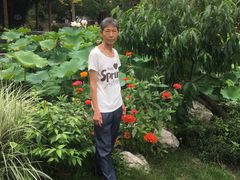 -洪湖家庭农场·团建·露营·会议