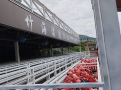 -天目湖松岭竹海漂流