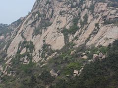 -鲁山国家森林公园