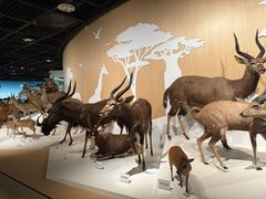 -陕西自然博物馆