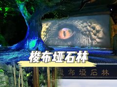 -梭布垭石林景区