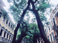 -广东胜利宾馆西关粤中餐厅