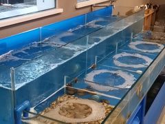 水产区-大正味·蚝酒馆(龙泉店)