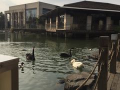 -上海怡沁园度假酒店