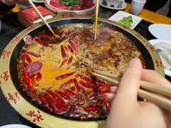 -一斗火锅·招财羊毛肚(北温泉九号店)