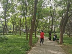 -玲珑塔公园