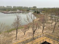 -东郊湿地公园