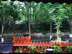 -国生茶庄·地道农家菜团建活动