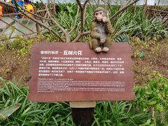 -南宫五洲植物乐园