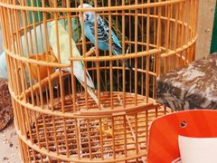 -李久其家民间餐厅(观沙岭公园店)