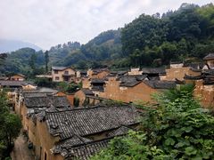 -杨家堂村