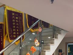 -爱侣·安琦尔宠物医院·中兽医针灸·心内科·狂犬免疫点(宝山区院)