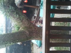 天井-星巴克(福州三坊七巷店)