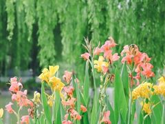 -牛岗山公园