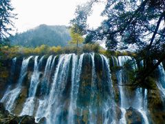 -九寨沟-树正沟