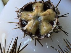 -海胆小馆(东北水饺·春柳店)