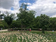 -长春公园(普阳街道)