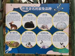 -无锡动物园·太湖欢乐园