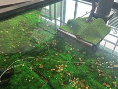 -上海可达汽车销售服务有限公司