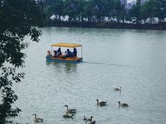 -艾溪湖湿地公园