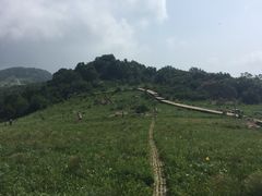 -白草畔自然风景区