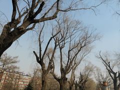 -长春市南湖公园