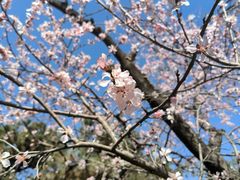 -朝阳公园