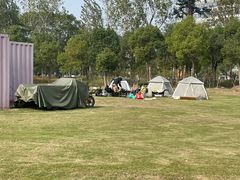 -春花秋色城市公园