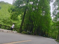 -青城山