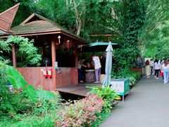 -野象谷景区