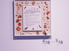 -江苏省美术馆(长江路新馆)
