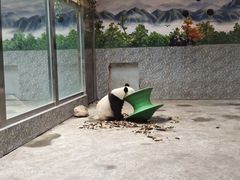 -西安秦岭野生动物园