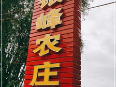 门面-银峰农庄·特色烧鸡·鲜无花果浸鸡