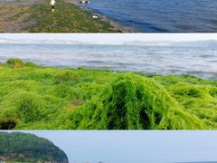 -大长山岛