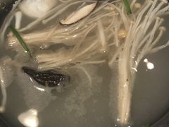 -魔法帽酱料牛肉小火锅(米兰店)