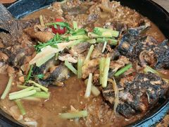 -老板恋上鱼(恒隆广场店)