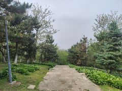 -莫子山公园