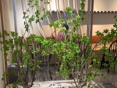 -喜茶(广州保利中环店)