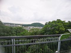 -佛山华盖山公园