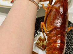 -新光酒家·河豚·海鲜·蟹料理(浦东店)