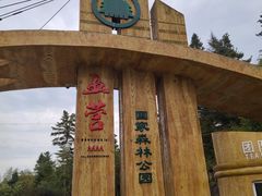 -五营红松林海景区