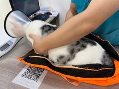 -荔康动物医院(康王北路店)