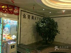-金青果甄选KTV(劳动公园店)