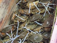 -南沙十九涌渔人码头-南门