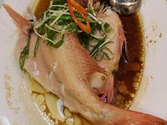 -宜宾海鲜酒家·三十年老字号