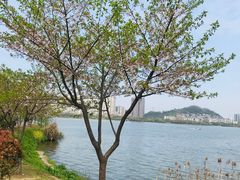 -团城山公园