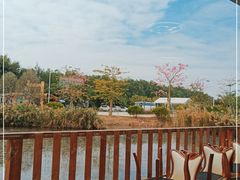 -大湾区中央湿地公园