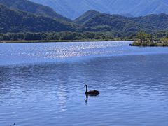 -大九湖