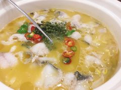 -蜀腾川·火锅鱼.烤鱼(新世界城店)