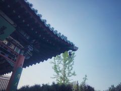 -迎泽公园